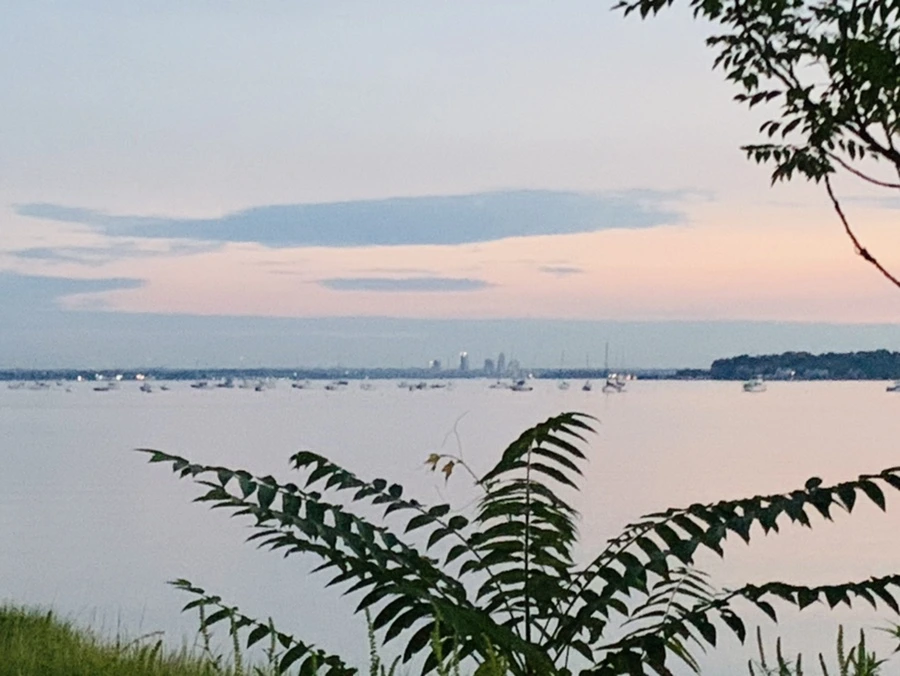 IMG_0854.jpg?type=w966