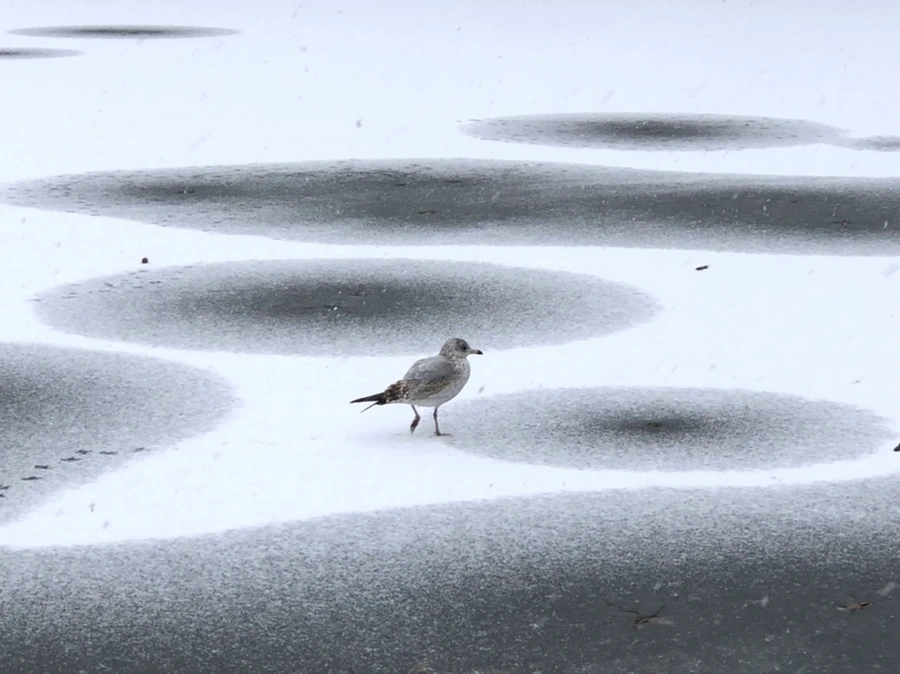 IMG_5969.jpg?type=w966