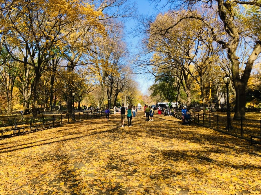 IMG_4264.jpg?type=w966