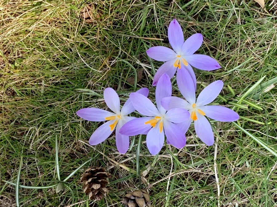 IMG_9221.jpg?type=w966