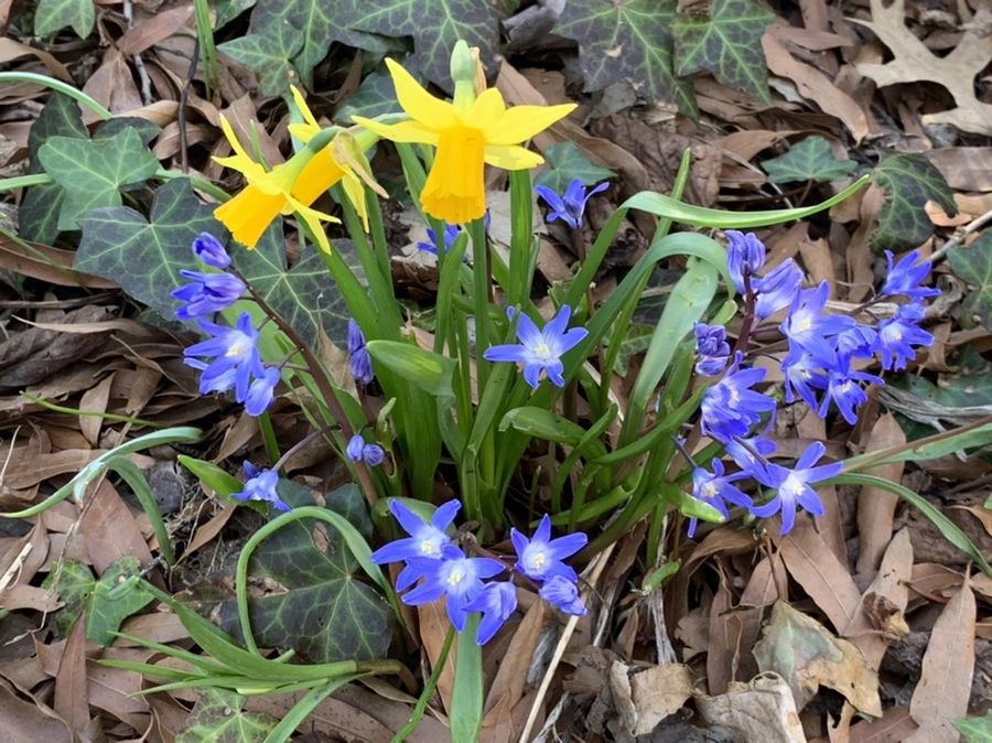 IMG_5789.jpg?type=w966