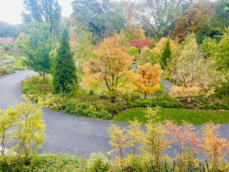 IMG_0134.jpg?type=w966