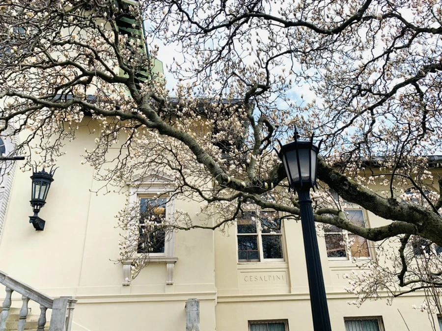 IMG_7212.jpg?type=w966