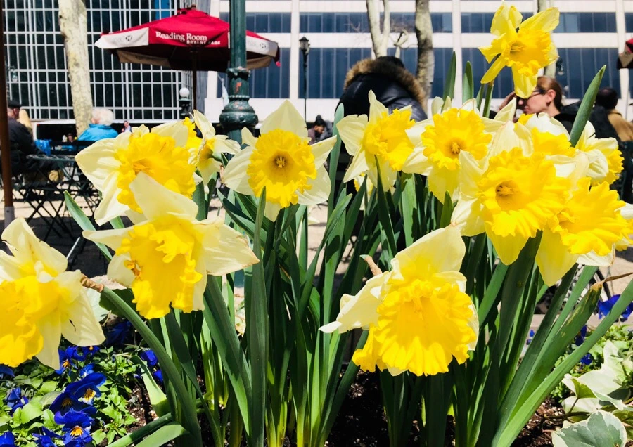 IMG_4568.jpg?type=w966