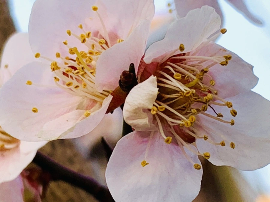 IMG_2769.jpg?type=w966