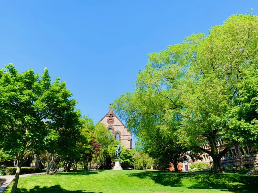 IMG_3092.jpg?type=w966