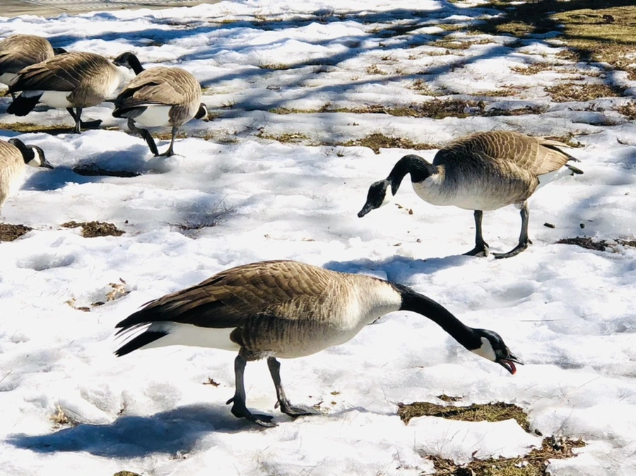 IMG_4701.jpg?type=w966