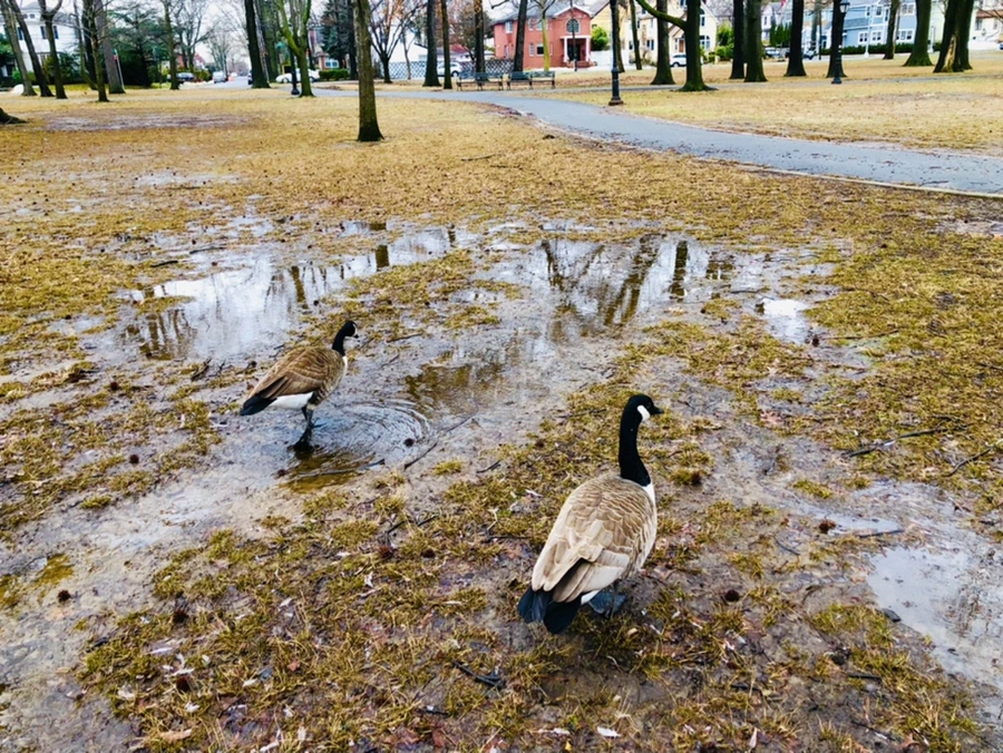 IMG_6555.jpg?type=w966