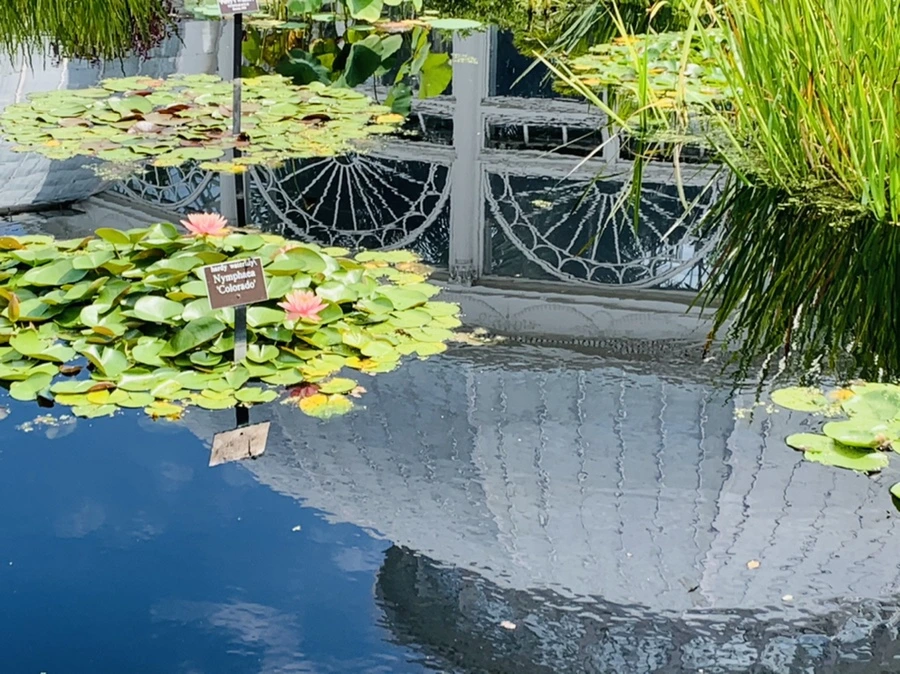 IMG_9061.jpg?type=w966