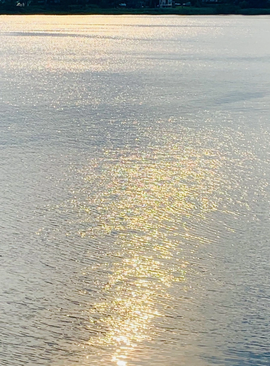 IMG_1575.jpg?type=w966