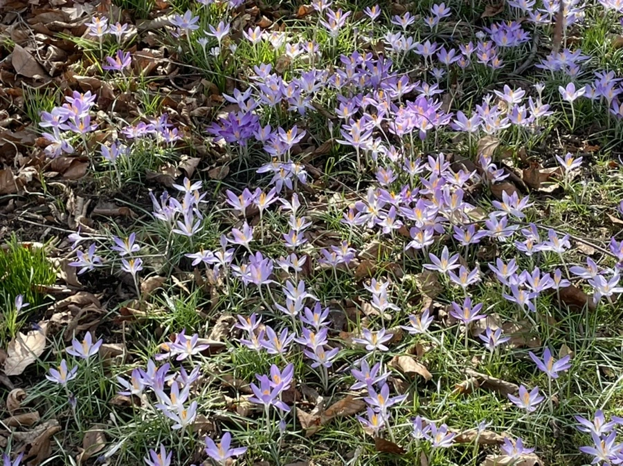 IMG_5340.jpg?type=w966