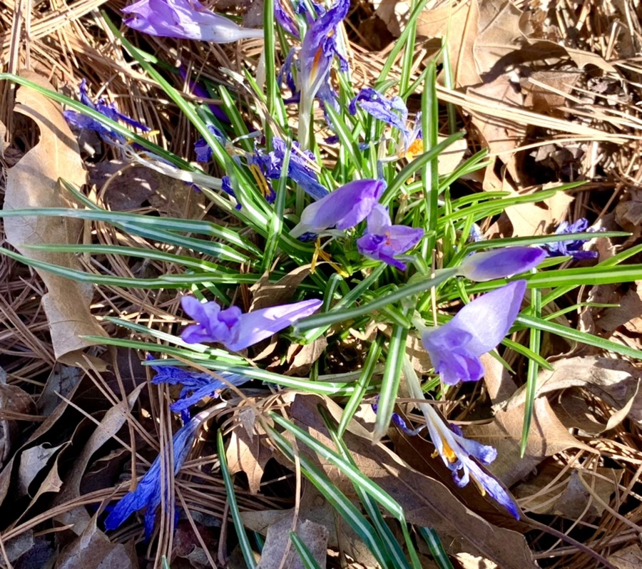 IMG_1419.jpg?type=w966