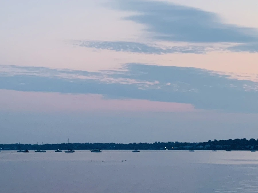 IMG_2252.jpg?type=w966