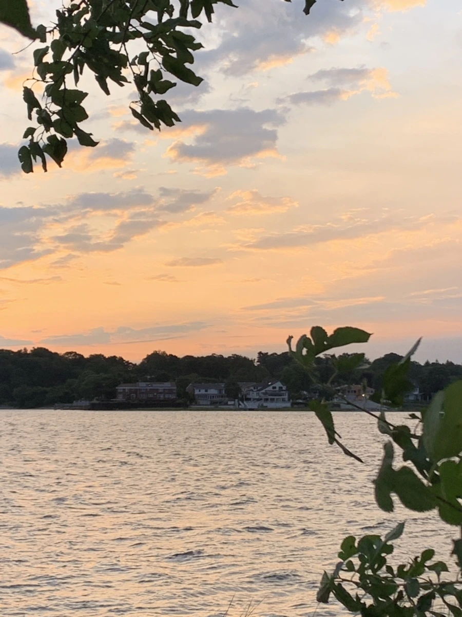 IMG_1710.jpg?type=w966