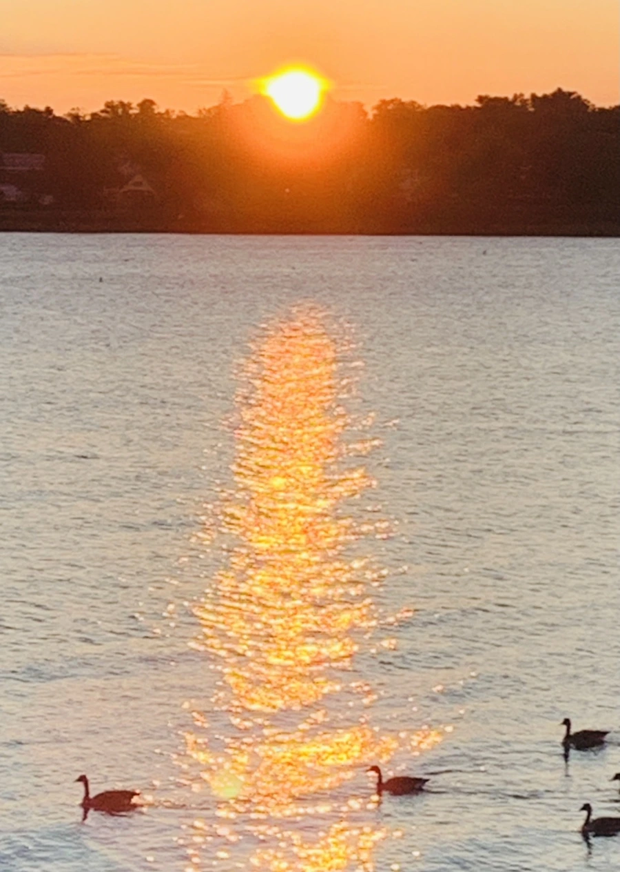 IMG_9558.jpg?type=w966