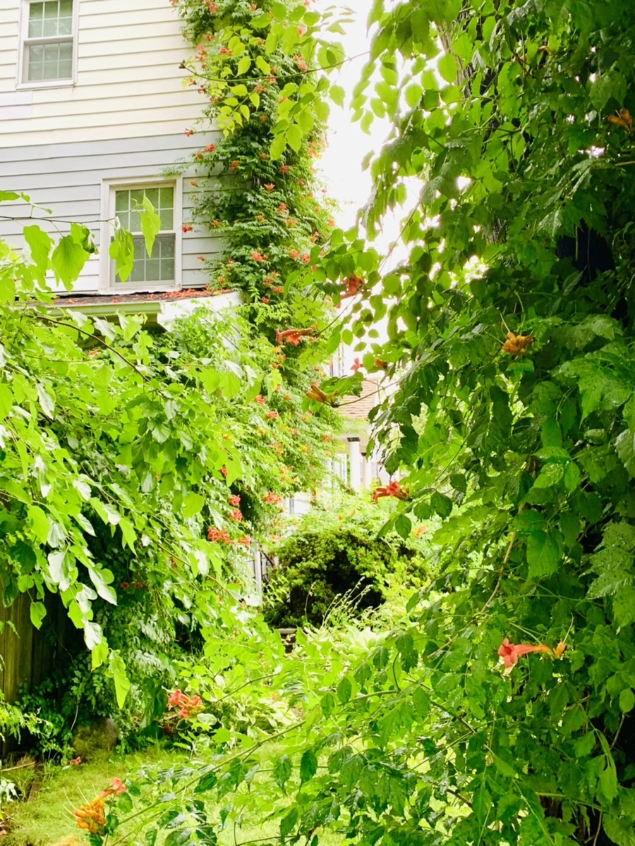 IMG_0073.jpg?type=w966