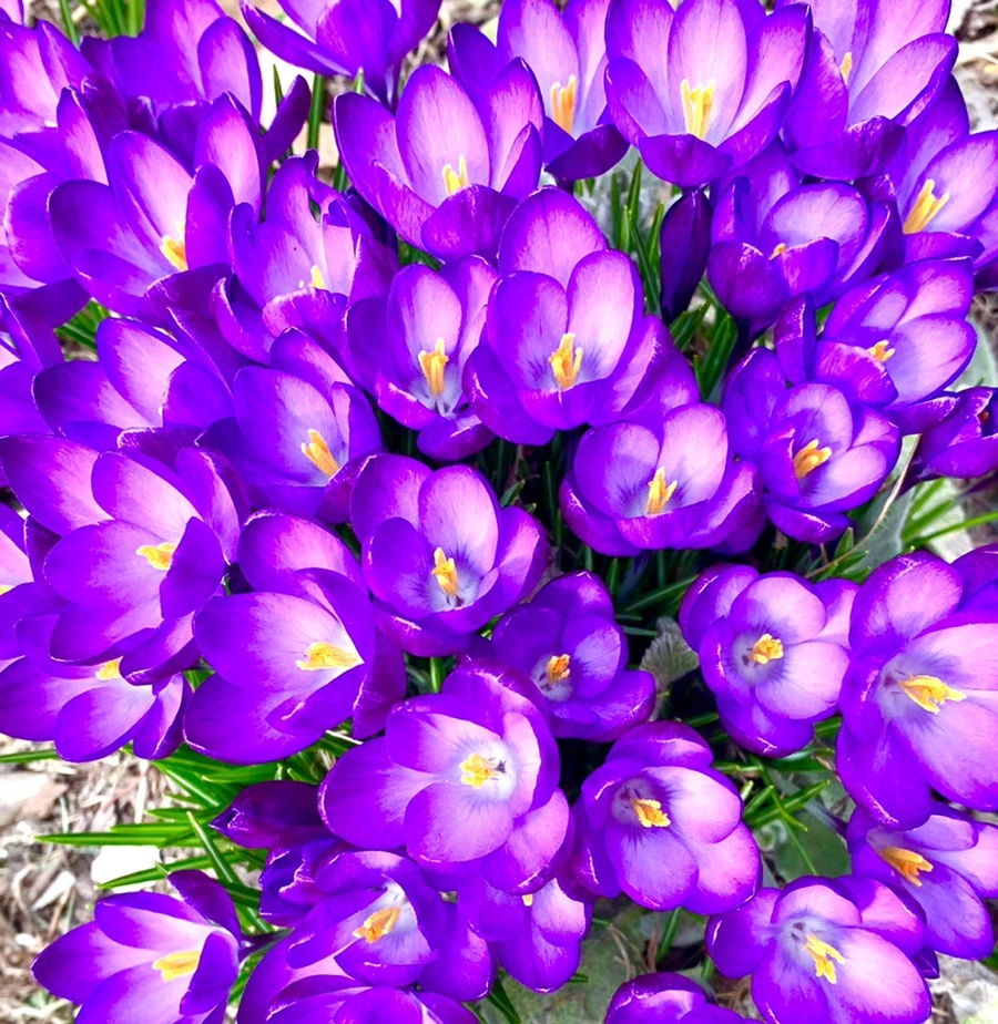 IMG_1062.jpg?type=w966