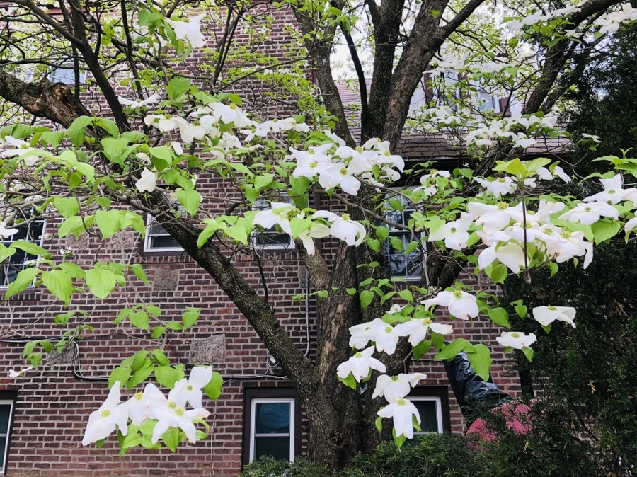 IMG_4046.jpg?type=w966