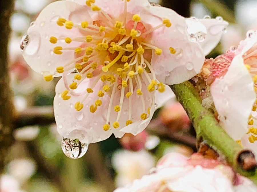 IMG_2006.jpg?type=w966