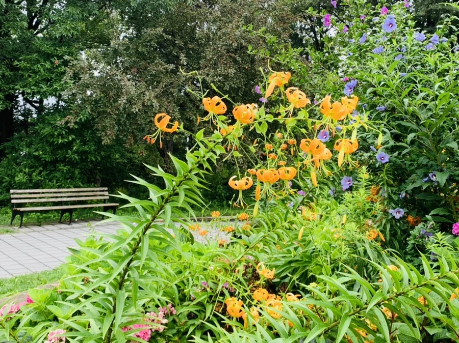 IMG_1117.jpg?type=w966