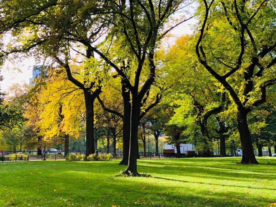 IMG_7196.jpg?type=w966