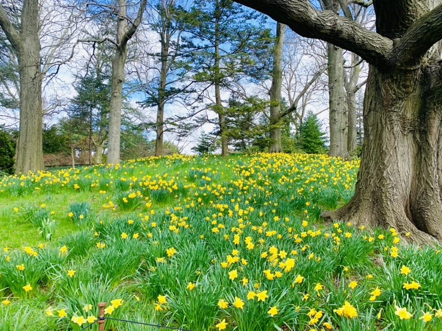 IMG_6552.jpg?type=w966