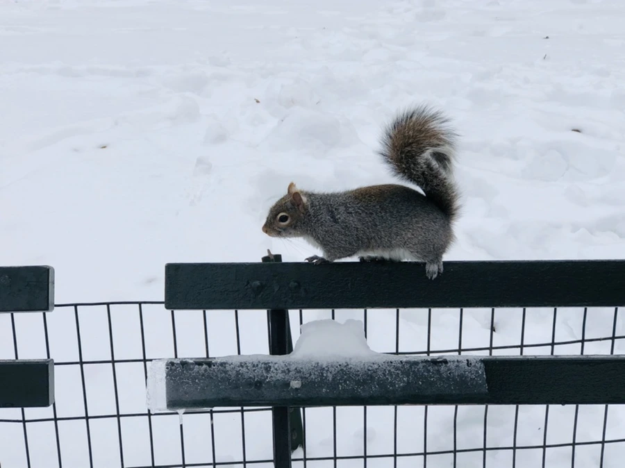 IMG_9123.jpg?type=w966