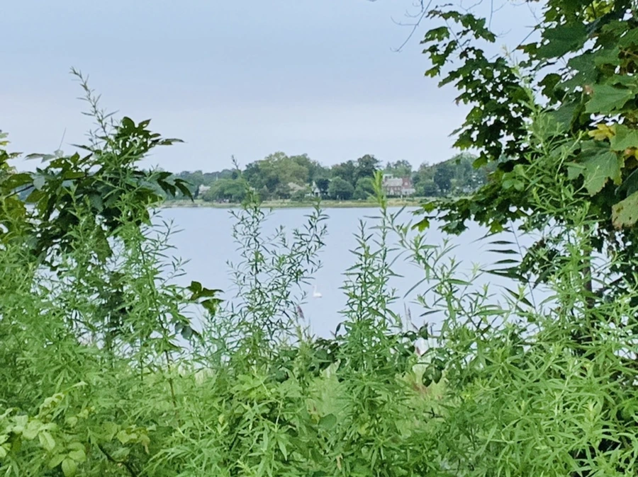 IMG_6162.jpg?type=w966