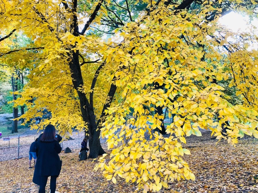 IMG_7333.jpg?type=w966