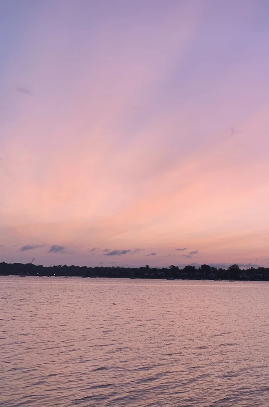 IMG_5361.jpg?type=w966