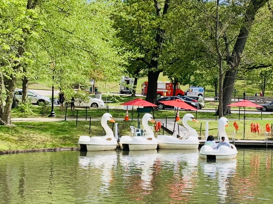 IMG_2469.jpg?type=w966