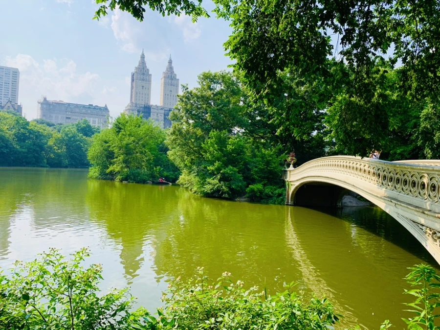 IMG_1745.jpg?type=w966