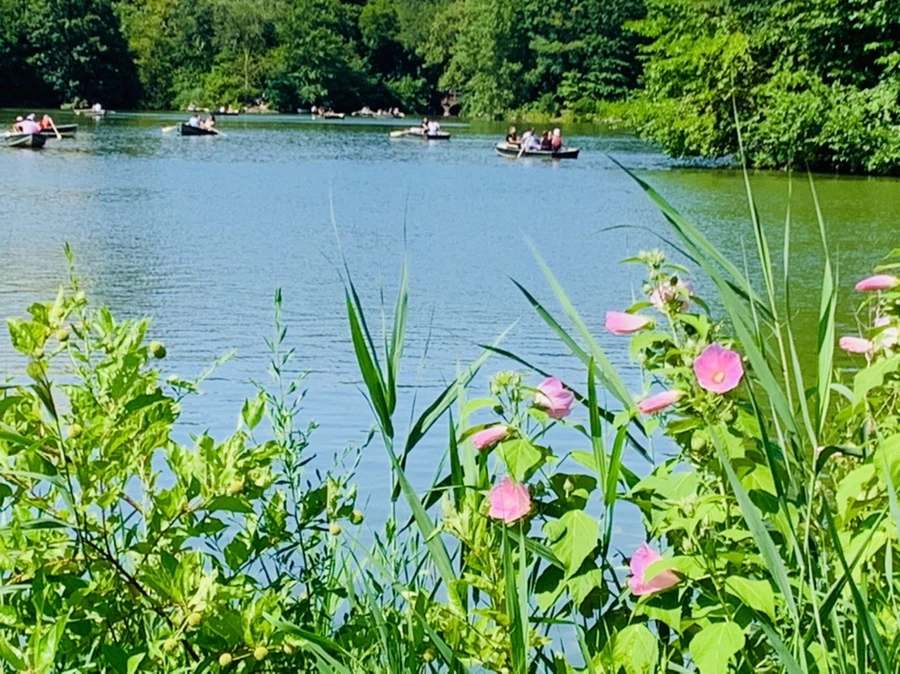 IMG_4452.jpg?type=w966