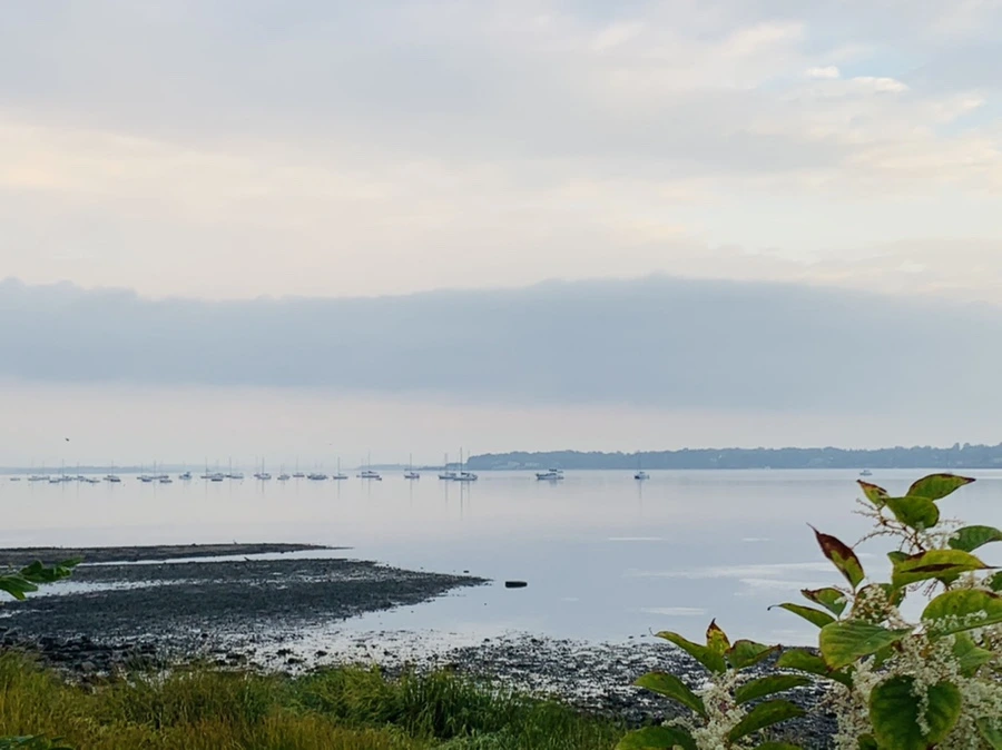 IMG_8215.jpg?type=w966