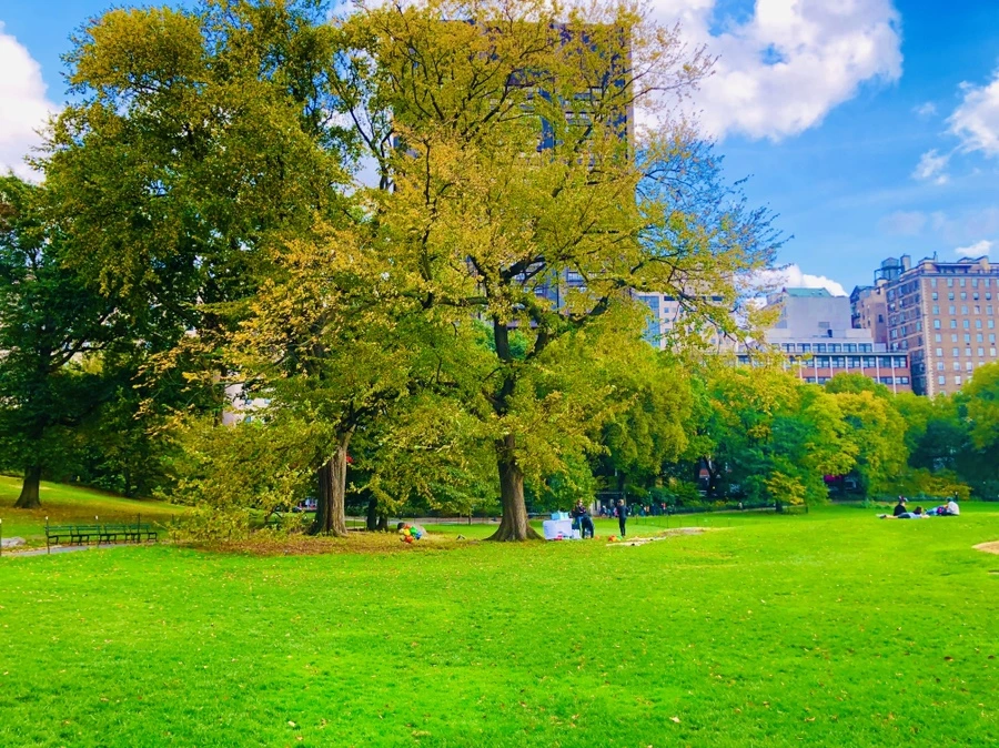 IMG_2068.jpg?type=w966