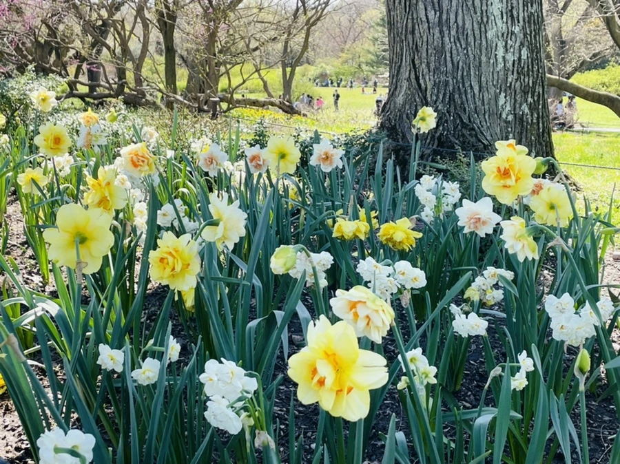 IMG_2009.jpg?type=w966