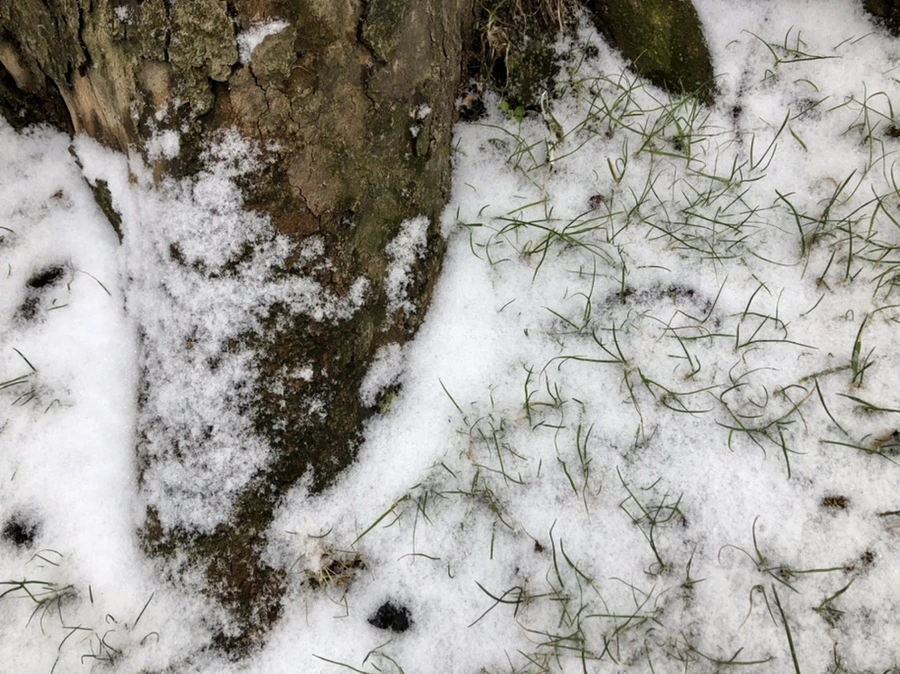 IMG_6326.jpg?type=w966