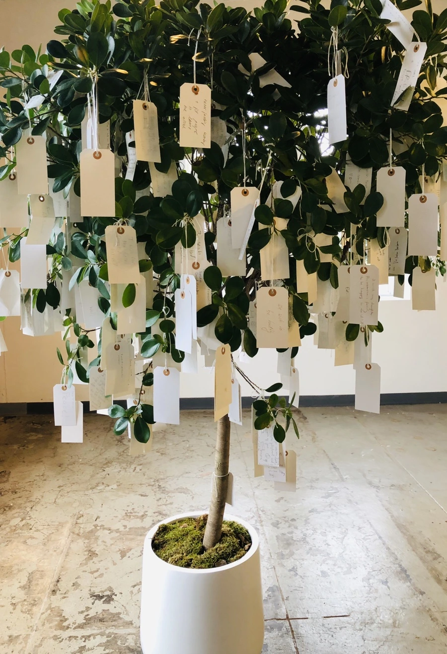 IMG_1004.jpg?type=w966