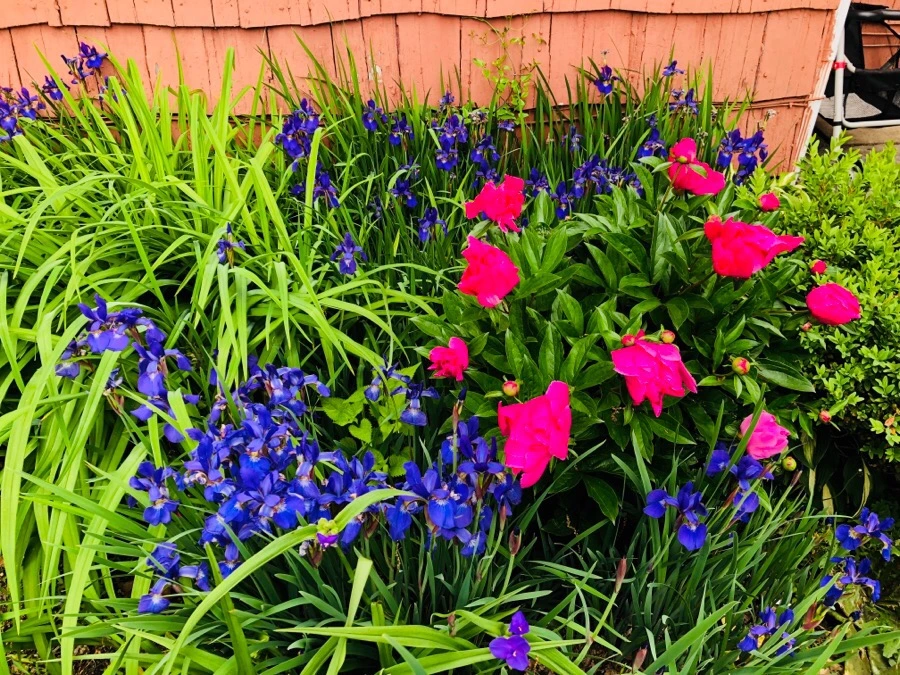 IMG_6142.jpg?type=w966