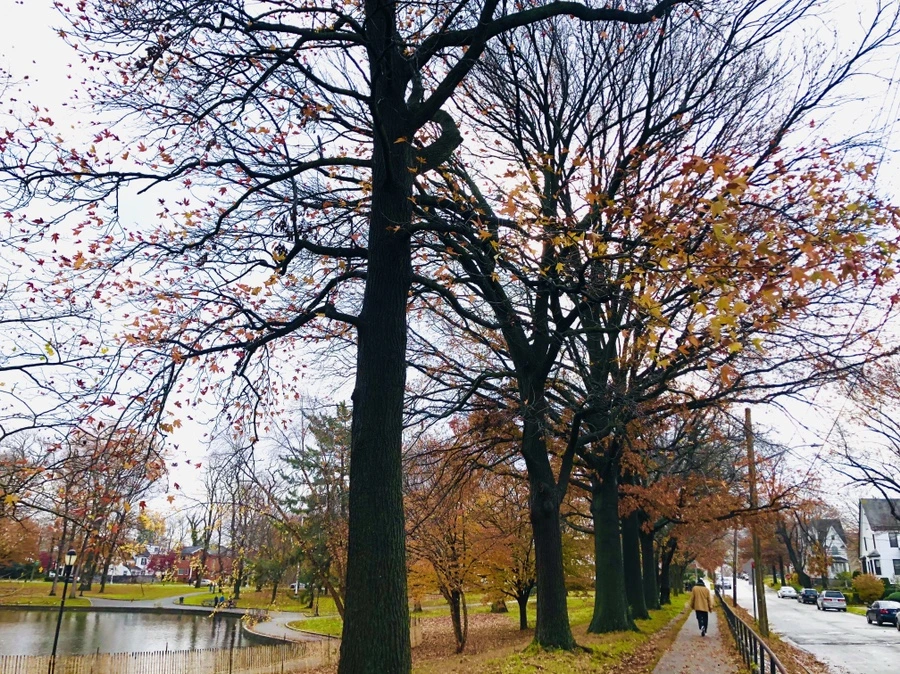 IMG_5434.jpg?type=w966