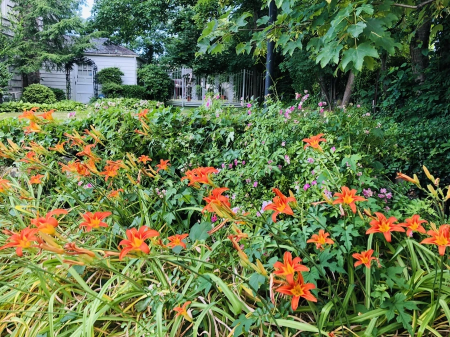 IMG_0327.jpg?type=w966