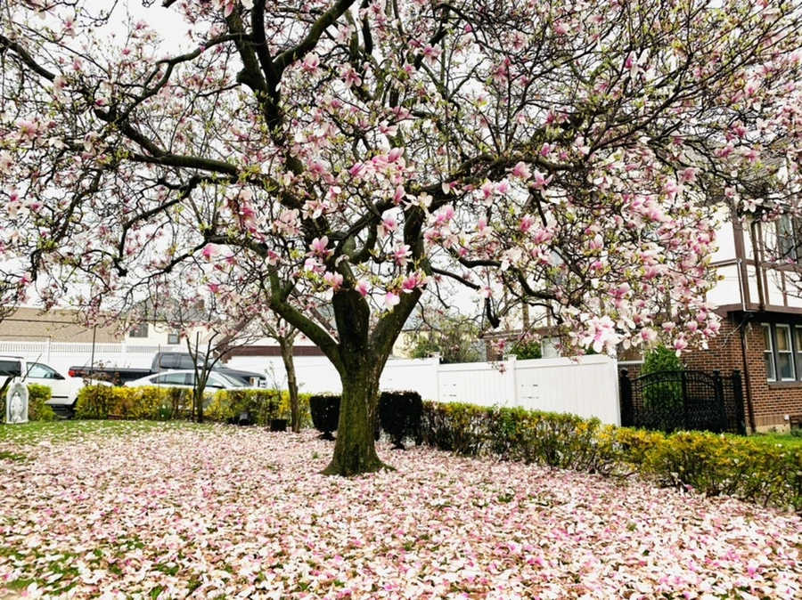 IMG_2220.jpg?type=w966