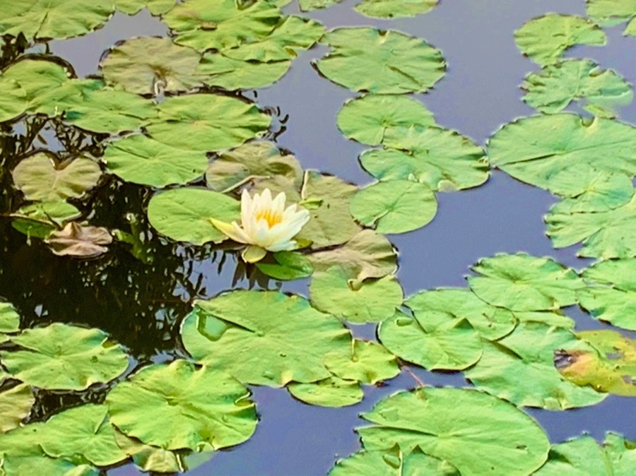 zhmtOtuyGQ2lNBy-fe9fIAc4X_I