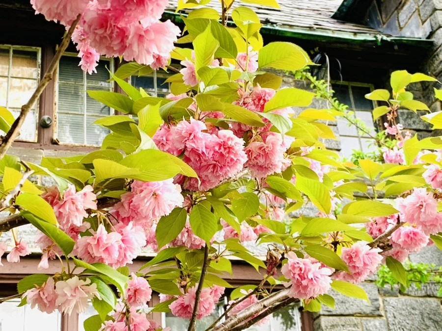 IMG_8996.jpg?type=w966