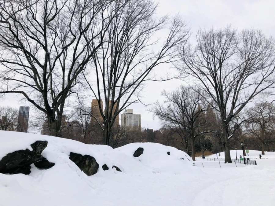 IMG_9537.jpg?type=w966