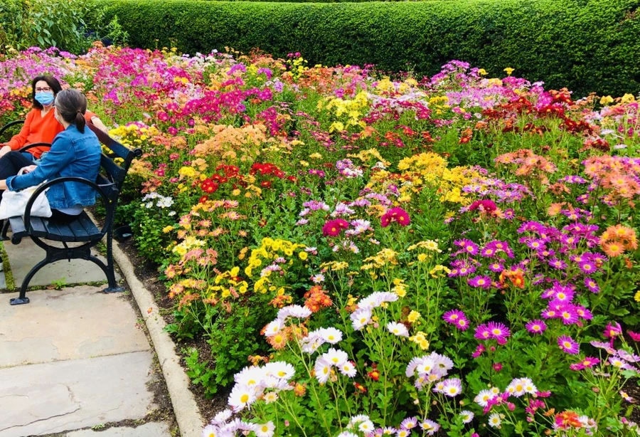 IMG_2558.jpg?type=w966