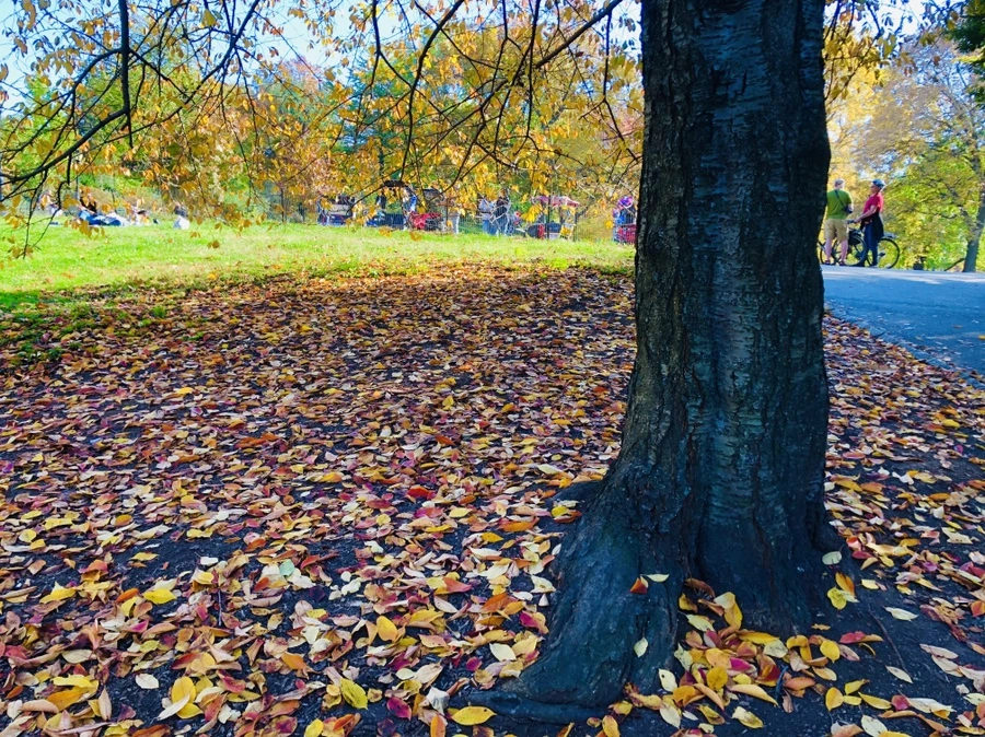 IMG_3933.jpg?type=w966