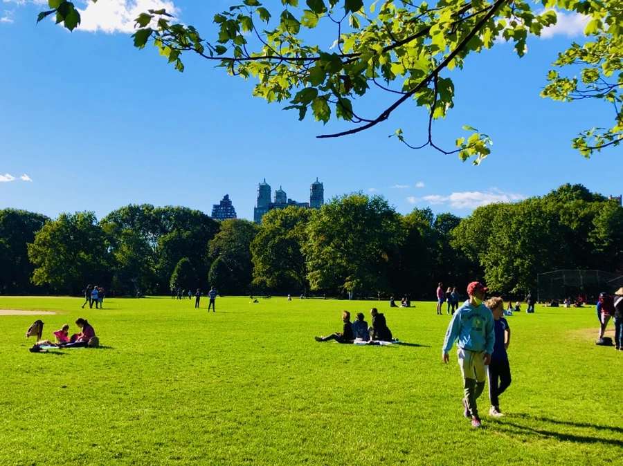 IMG_1699.jpg?type=w966