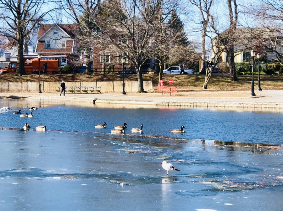 IMG_6569.jpg?type=w966