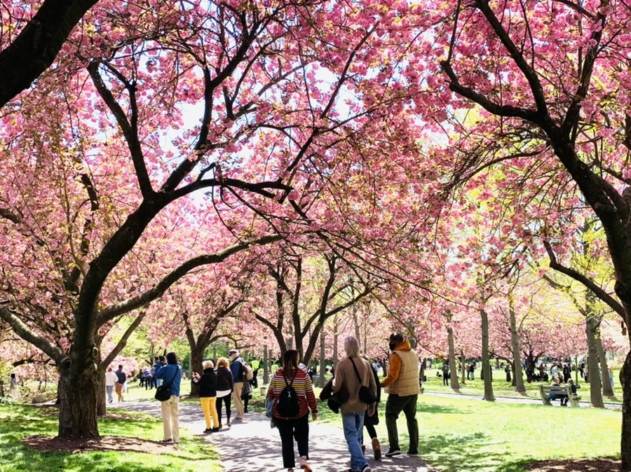 IMG_6422.jpg?type=w966